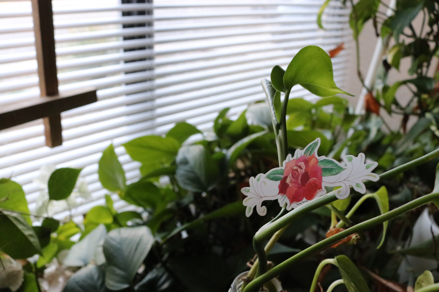 green plants in window with a sticker of a rose on the one of the plants